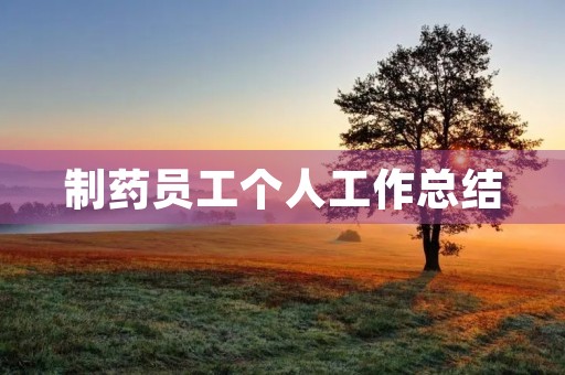 制药员工个人工作总结