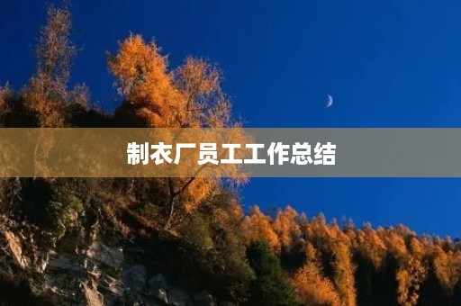 制衣厂员工工作总结