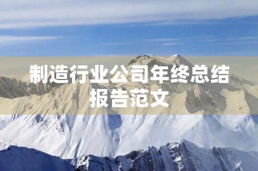制造行业公司年终总结报告范文