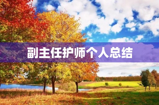 副主任护师个人总结
