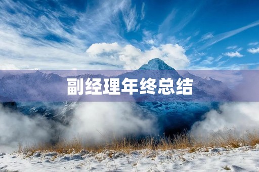 副经理年终总结