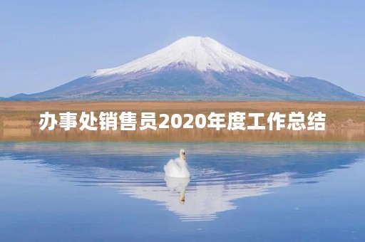 办事处销售员2020年度工作总结