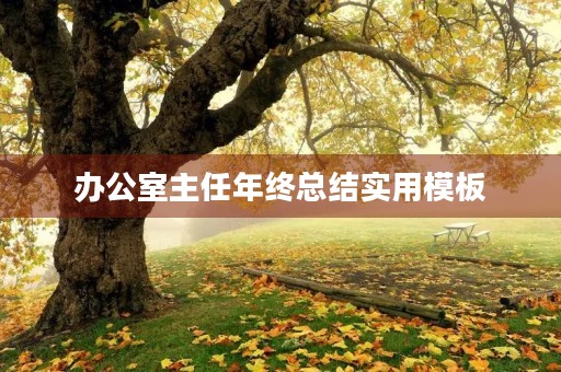 办公室主任年终总结实用模板