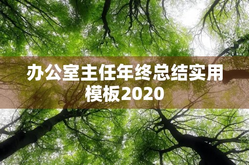 办公室主任年终总结实用模板2020