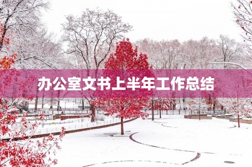 办公室文书上半年工作总结
