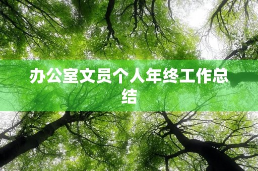 办公室文员个人年终工作总结 办公室文员个人年终工作总结