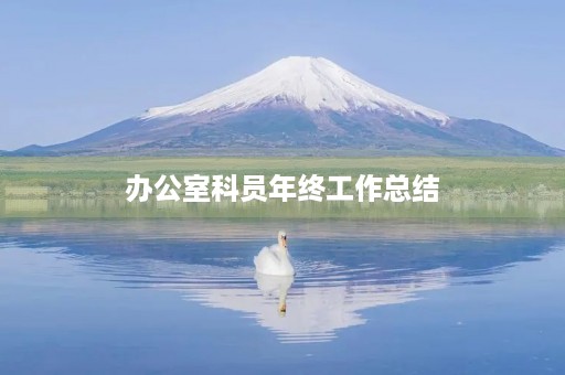 办公室科员年终工作总结 办公室科员年终工作总结