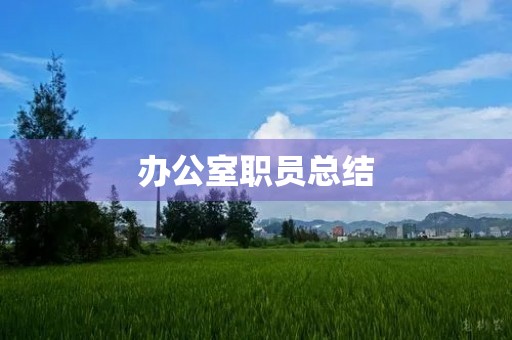 办公室职员总结