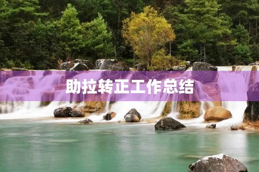 助拉转正工作总结