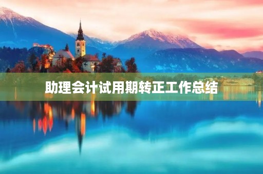 助理会计试用期转正工作总结