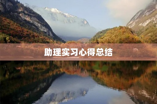 助理实习心得总结 助理实习心得总结