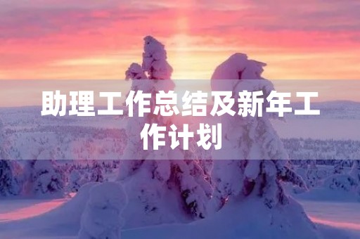 助理工作总结及新年工作计划