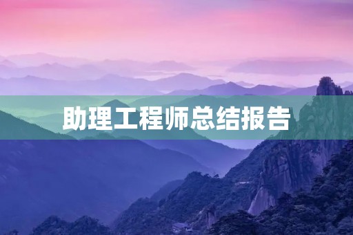 助理工程师总结报告