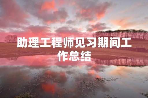 助理工程师见习期间工作总结