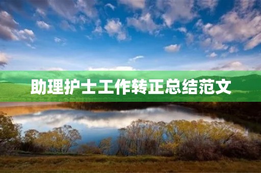 助理护士工作转正总结范文