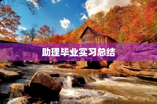 助理毕业实习总结