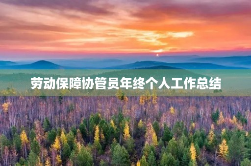 劳动保障协管员年终个人工作总结