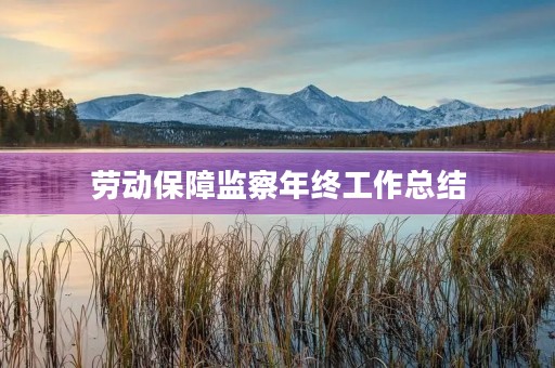 劳动保障监察年终工作总结 劳动保障监察年终工作总结