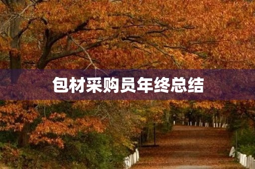 包材采购员年终总结 包材采购员年终总结