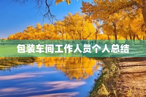 包装车间工作人员个人总结