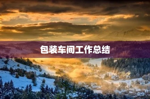 包装车间工作总结