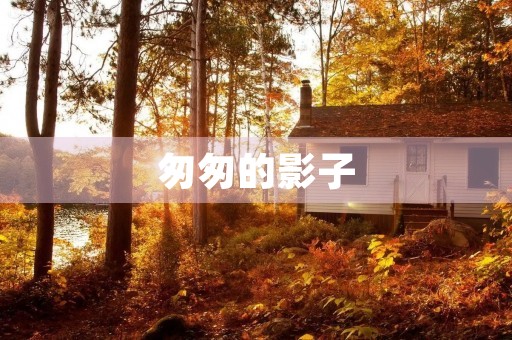 匆匆的影子 匆匆的影子