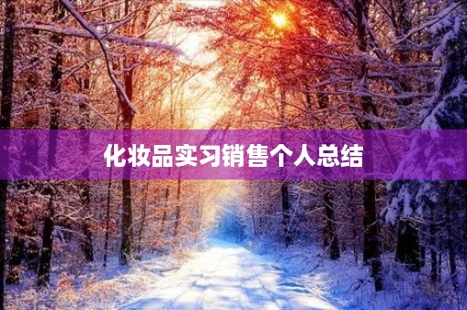 化妆品实习销售个人总结