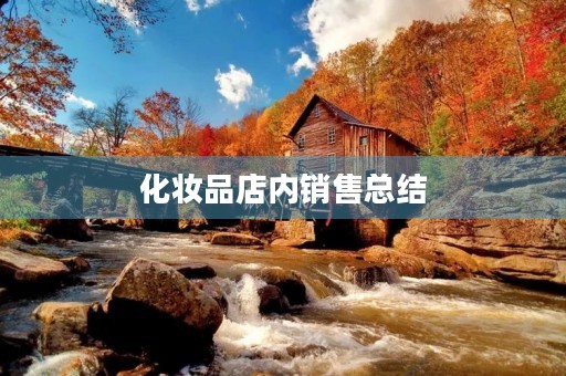 化妆品店内销售总结