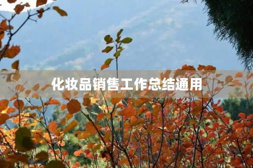 化妆品销售工作总结通用