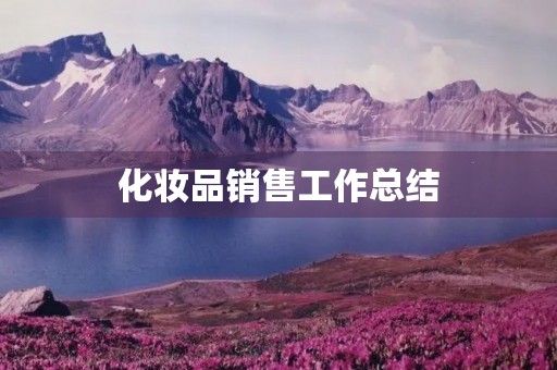 化妆品销售工作总结