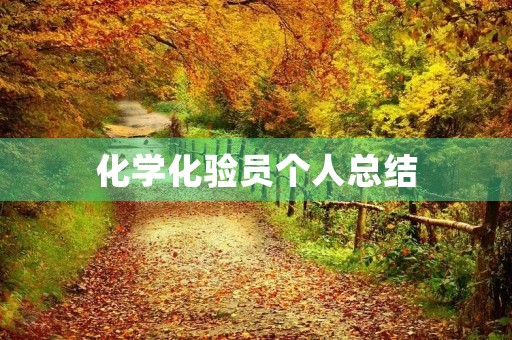 化学化验员个人总结