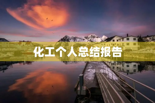 化工个人总结报告