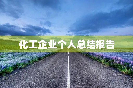 化工企业个人总结报告
