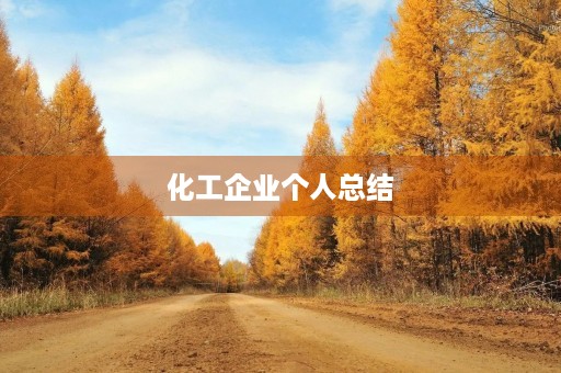 化工企业个人总结