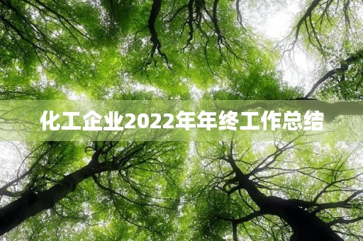 化工企业2022年年终工作总结