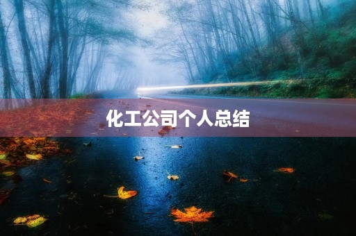 化工公司个人总结