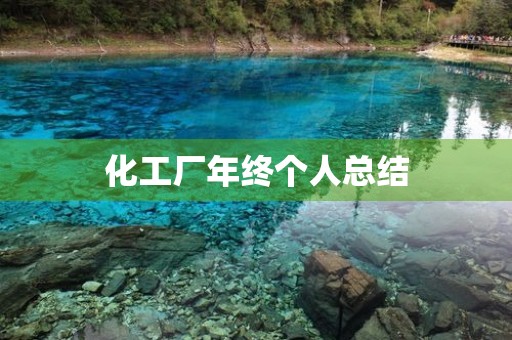 化工厂年终个人总结