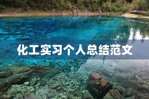 化工实习个人总结范文