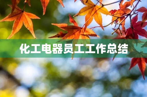 化工电器员工工作总结