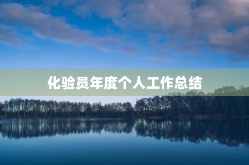 化验员年度个人工作总结