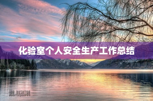 化验室个人安全生产工作总结