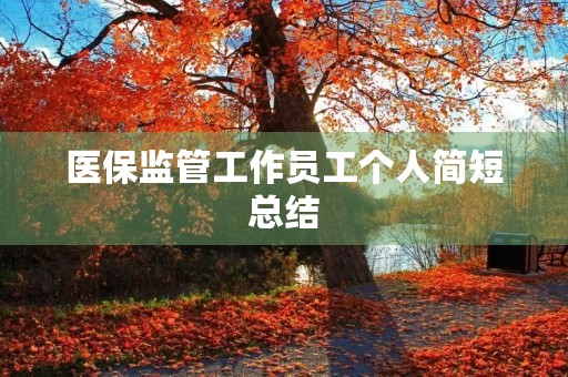 医保监管工作员工个人简短总结