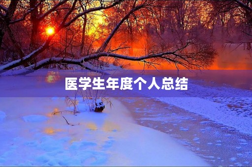 医学生年度个人总结