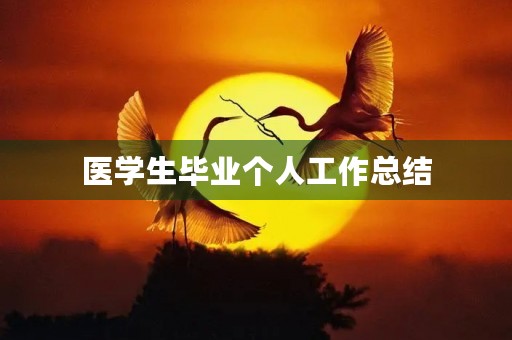 医学生毕业个人工作总结