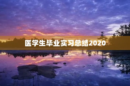 医学生毕业实习总结2020