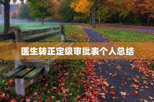 医生转正定级审批表个人总结