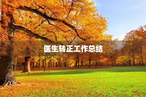 医生转正工作总结