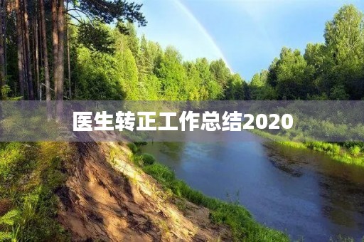 医生转正工作总结2020