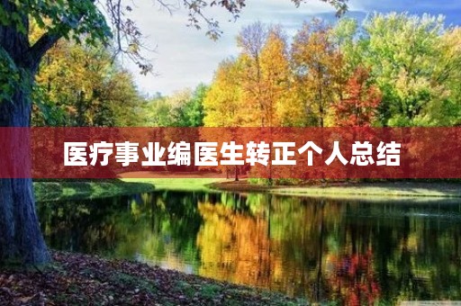 医疗事业编医生转正个人总结