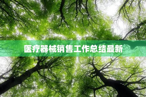 医疗器械销售工作总结最新